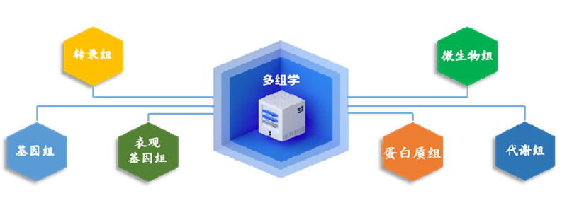 图片 1.png